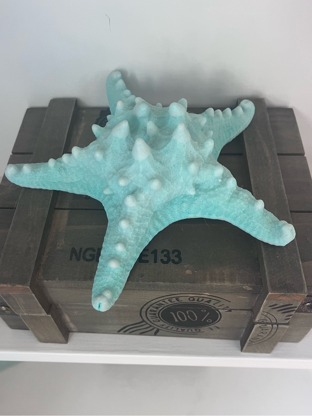 Coastal Turquoise Starfish Decor